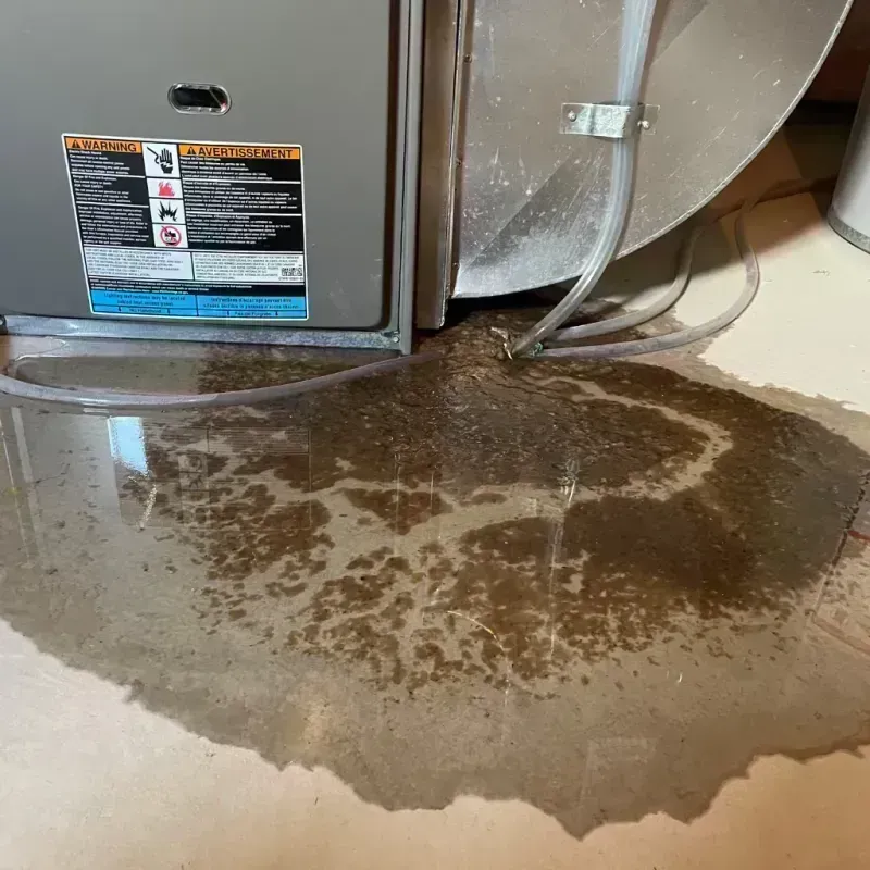 Appliance Leak Cleanup in Mexico, MO